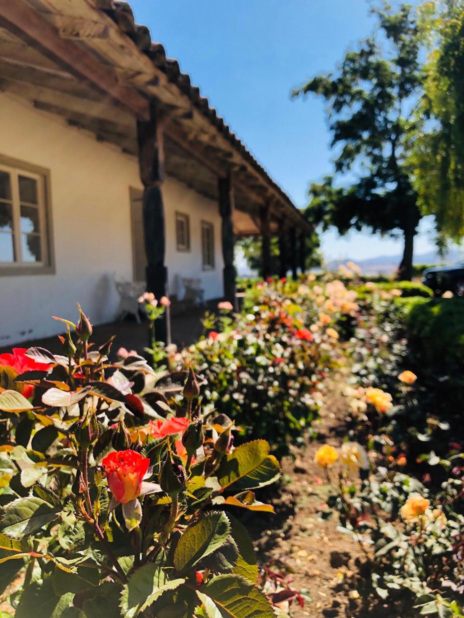Casa Bouchon Hotel Boutique San Javier  Eksteriør bilde